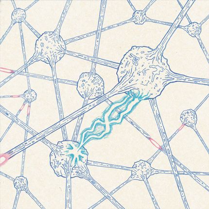 Tom morris Cell Architecture, Neuroscience Art, Brain Art, Science Illustration, Bio Art, Improve Focus, Scientific Illustration, Neurology, Anatomy Art