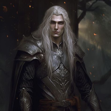 White Hair Knight Male, Fae Warrior Male, Male Elf White Hair, White Haired Warrior, White Haired Elf Man, White Hair Warrior, White Haired Elf, White Haired Male, White Hair Elf