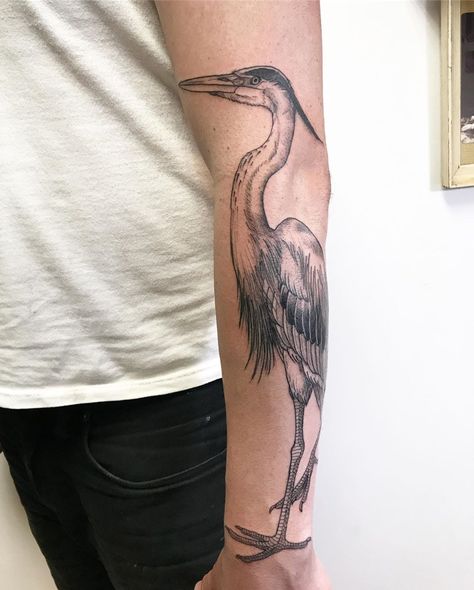 Large Animal Tattoos, Heron Forearm Tattoo, Blue Herring Tattoo, Boy And The Heron Tattoo, Heron Back Tattoo, Grey Heron Tattoo, Large Bird Tattoo, Heron Tattoo Traditional, Herron Tattoo