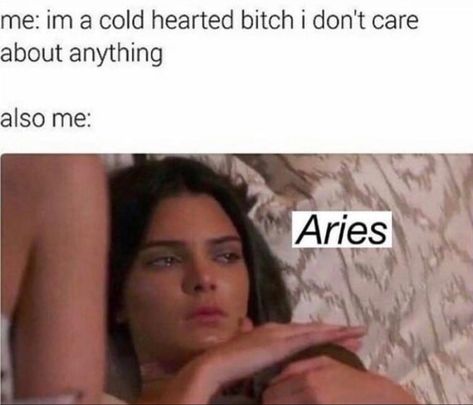 Aries Mood, Aries Vibes, Inspirational Paragraphs, Aries Queen, Aries Things, Aries Funny, Aries Constellation Tattoo, Aries Aesthetic, Aries Baby