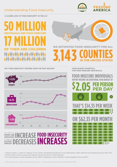 Food Justice, America Food, Food Infographic, World Hunger, Food Insecurity, Feeding America, Social Determinants Of Health, Corporate Social Responsibility, Funny Dog Memes