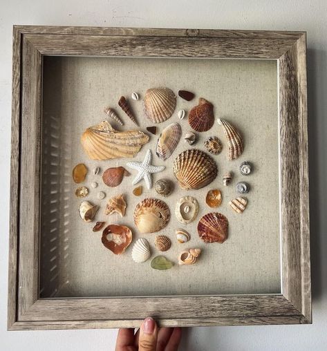 Seashell Shadow Boxes, Seashell Artwork, Seashell Art Diy, Shell Artwork, Beach Crafts Diy, Shell Display, Seashell Projects, Seashell Wall Art, Shell Crafts Diy