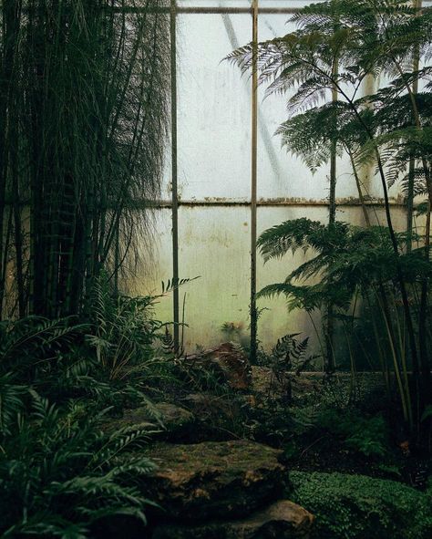 Hidden Scotland on Instagram: “Just one mile from the city centre, The Royal Botanic Garden in Edinburgh offers visitors peace and tranquility amongst 72 acres of…” Green + Core + Aesthetic, Meadows Edinburgh, Edinburgh Secret Places, Edinburgh Botanical Garden, National Museum Of Scotland Edinburgh, The Witchery Edinburgh, Ravenclaw Aesthetic, Aesthetic Dark Academia, Quiet Corner