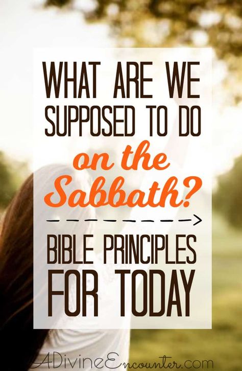 Things To Do On Sabbath, What To Do On Sabbath Day, Celebrating Sabbath, Sabbath Scriptures, Shabbos Candles, The Sabbath Day, Sabbath Rest, Messianic Jewish, Shabbat Dinner