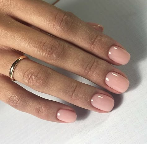 Rose Pink Nails, Light Pink Nail Polish, Ongles Gel French, Blush Pink Nails, Light Colored Nails, Matte Pink Nails, Pink Nail Colors, Light Pink Nails, Light Nails