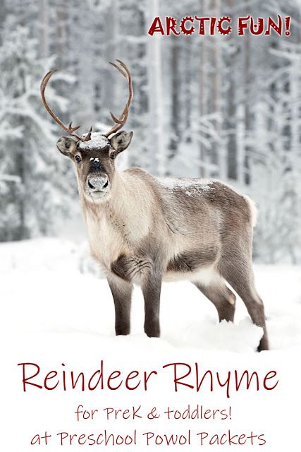 Animals Preschool Activities, Arctic Animals Preschool Activities, Reindeer Song, Arctic Animals Preschool, Kindergarten Poems, Animals Preschool, Winter Poems, Kindergarten Music, Winter Activities Preschool