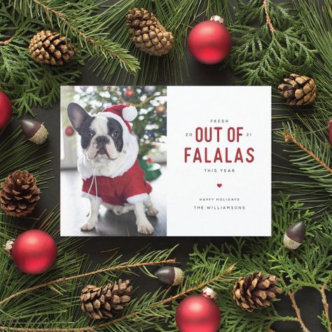 Out Of Falalas Funny Dog Christmas Card #zazzle #weddinginvitations #birthdayinvitations #babyshowerinvitations #zazzleinvitations #monogram #businesscards #graduation #homedecor Pet Holiday Cards, Dog Holiday Cards, Pet Christmas Cards, Christmas Photo Card Template, Funny Holiday Cards, Dog Christmas Card, Holiday Design Card, Funny Christmas Cards, Christmas Invitations