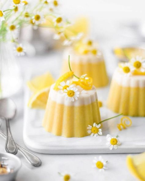 Lemon Panna Cotta, Spring Time Desserts, Panna Cotta Recipe, Mapo Tofu, Squeezed Lemon, Small Desserts, Agar Agar, Fancy Desserts, Köstliche Desserts