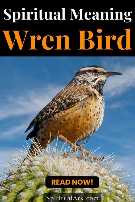 at the top of this post is the title that says, "spiritual meaning, wren bird", at the center of the post is a photo of a wren bird facing to your right, and at the bottom of this post are a button which contains the words, "read now" and the website source whish is "SpiritualArk.com" Wren Bird, Animal Symbolism, Spiritual Truth, Hope Symbol, Spiritual Meaning, Personal Journey, Spiritual Guidance, Spiritual Practices, Wren