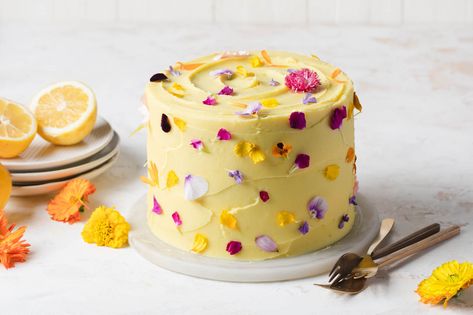 Quinoa Chocolate Cake, Best Baking Recipes, Elderflower Cake, Quinoa Chocolate, Elderflower Syrup, Baking Therapy, Edible Flowers Cake, Best Baking, Flower Confetti