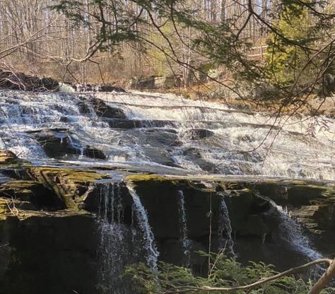 13 Serene Spots to Picnic Around Lake Wallenpaupack - Ledges Hotel Lake Wallenpaupack Pennsylvania, Lake Wallenpaupack, Double Kayak, Pocono Mountains, Camping Area, Shade Trees, Walking Trails, Picnic Area, Beach Sand