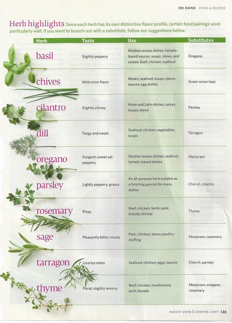 Cooking Flavor Profiles, Herbs Guide To Cooking, How To Use Herbs In Cooking, Herb Pairings, French Herbs, Herbs Cooking, Herbs For Cooking, Cooking With Herbs, Culinary Basics