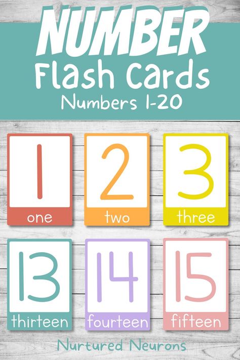 This colorful set of printable number flashcards are a great way to help your little ones to learn the numbers from 1-20! These number cards can help your kids develop their number recognition, counting and ordering skills. So why not head over to Nurtured Neurons, grab this lovely set of cards and get learning! #prek #flashcards #preschoolmath #kindergartenmath #numbers #numberflashcards #printableflashcards #earlymath #mathskills #counting Numbers Preschool Printables, Flashcards For Toddlers, Free Printable Numbers, Number Flashcards, Color Flashcards, Counting Cards, Numbers Preschool, Math Printables, Printable Flash Cards