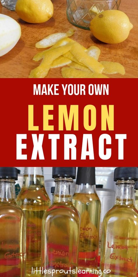 Fresh Lemon Recipes, Diy Extracts, Lemon Uses, Lemon Extract, Homemade Spices, Homemade Seasonings, Dehydrated Food, Homemade Vanilla, Lemon Recipes