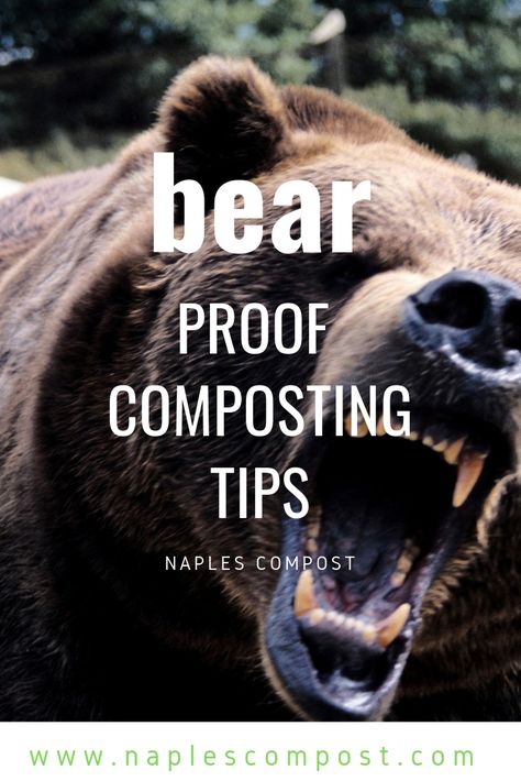 Bear Proof Composting - Naples Compost Bear Proof Garden, Bear Proof Compost Bin, Compost Bin Tumbler, Homemade Compost Bin, Windmill Flower, Composting Ideas, Making A Compost Bin, Lake Landscaping, Compost Container