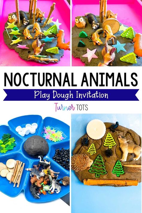 Night Time Animals Preschool, Woodland Animals Eyfs Activities, Nocturnal Preschool Activities, Night Animals Activities, Nocturnal Animal Sensory Bin, Nocturnal Animals Eyfs, Nocturnal Animals Sensory Bin, Preschool Nocturnal Animals Theme, Nocturnal Animals Preschool Activities