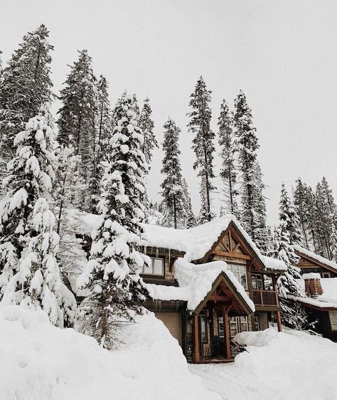 Three Swedish Mountain Men, The Simple Wild, Snowy Cabin, Ski Aesthetic, Wild Book, Christmas Lodge, Mountain Men, Small Town Romance, Gold Book