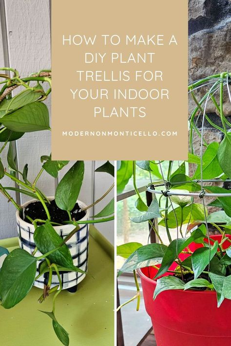 Diy Small Trellis For Potted Plants, Diy Small Trellis For Flower Pot, Diy Wire Plant Trellis, Diy Trellis Ideas Indoor, Diy Pothos Trellis, Indoor Plant Trellis Ideas, Diy Plant Trellis Indoor, Diy Trellis For Potted Plants, Diy Plant Trellis