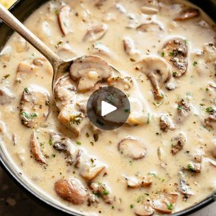 3.1M views · 6.7K reactions | Cream of Mushroom Soup | Homemade Cream of Mushroom Soup is full flavoured and so easy to make, you won’t buy soup in a can again!
RECIPE:... | By Cafe Delites | Facebook Cream Of Mushroom Soup Recipes, Homemade Cream Of Mushroom Soup, Homemade Cream Of Mushroom, Soup Homemade, Homemade Soups, Cafe Delites, Mushroom Soup Recipes, Cream Of Mushroom Soup, Cream Of Mushroom