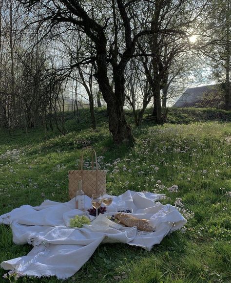 Picnic Aesthetics, Picnic Inspiration, Parisian Vibes, Picnic Time, 2022 Vision Board, Dream Places, Creative Living, Spring Aesthetic, Spring Vibes