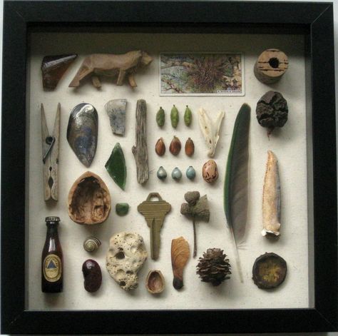 Gallery Wall With Shadow Boxes, Shadow Box Art Ideas, Trinket Display Ideas, Display Box Ideas, Treasure Display, Curiosity Box, Shadow Box Ideas, Rock Painting Ideas, Rocks Painted