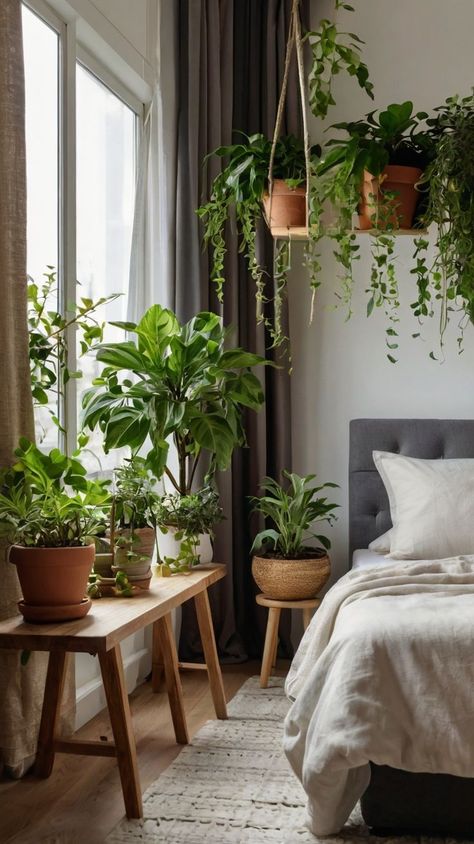 #BedroomDecor #HangingPlants #IndoorGarden #HomeDecor #PlantLovers #GreenLiving Hanging Plants Indoor Bedroom, Plant Cozy, Retreat Bedroom, Earthy Home, Hanging Plants Indoor, Growing Plants Indoors, Surf House, Beautiful House Plans, Plants Indoor