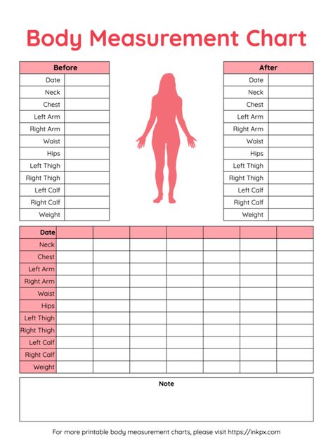 Free Body Measurement Chart Printable, Female Measurement Chart, Plus Size Measurement Chart, Free Printable Body Measurement Chart, Body Chart Female, Average Weight Chart Women, Body Measurement Chart Women, Measurements Chart For Women, Body Measurements Chart Printable