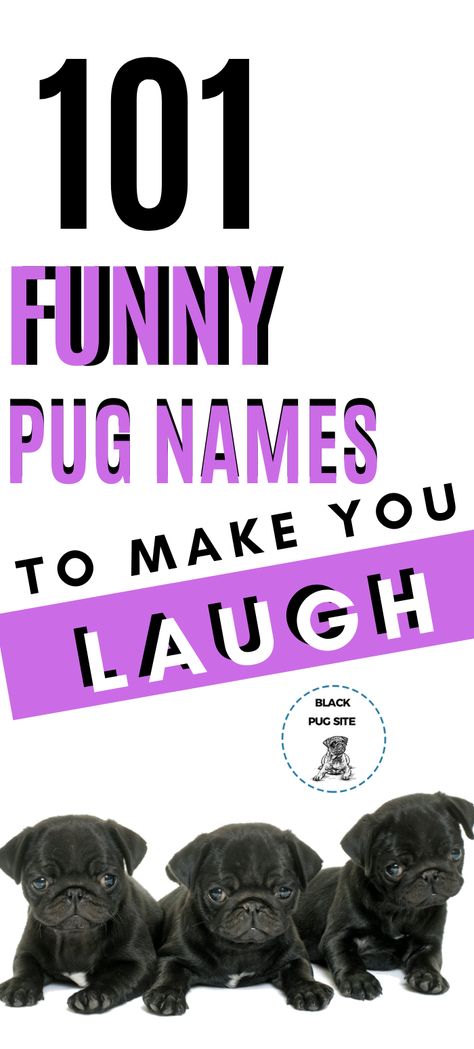 This list of dog name ideas contains hilarious girl and boy names that are not only funny, but very cute. Funny Puppy Names, Funny Dog Names Boy, Girl Pug Names, Funny Names For Dogs, Funny Girl Names, Funny Boy Names, Cool Dog Names Boys, Clever Dog Names, Funny Pet Names