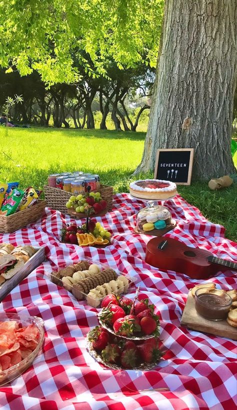 Simple Picnic Party, Picnic Bday Party Ideas Simple, Ideas De Picnic, Picnic Set Up, Birthday Picnic Ideas, Picnic Aesthetic Friends, Aesthetic Picnic Ideas, Wedding Picnic Reception, Picnic Dates