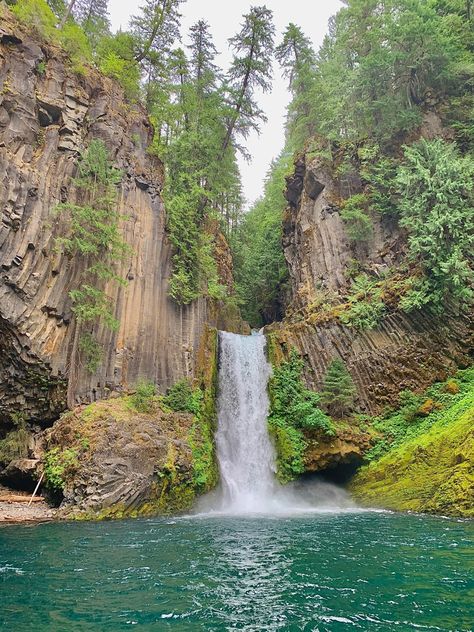 Toketee falls trail in Oregon Pretty Places In Oregon, Waterfall Oregon, Toketee Falls, Live Off Grid, Oregon Aesthetic, Living Off Grid, Oregon Summer, Klamath Falls Oregon, Oregon Pictures