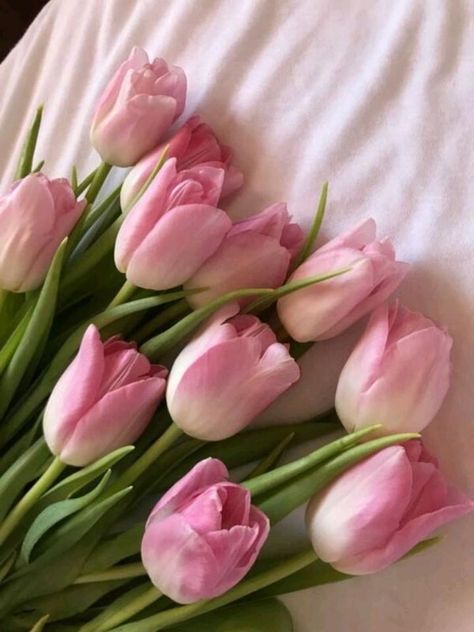 Murs Roses, Boquette Flowers, Nothing But Flowers, Flower Therapy, Beautiful Bouquet Of Flowers, Pink Tulips, Tulips Flowers, Beautiful Bouquet, Love Flowers