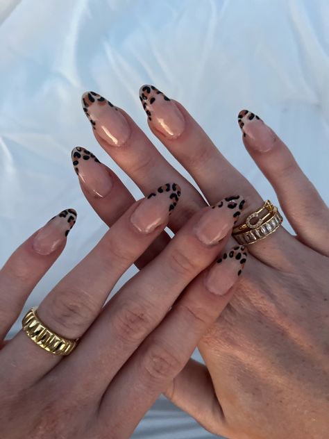 Fall Gel Nails Cheetah, Leopard Almond Nails Cheetah Print, Senior Picture Nails Ideas, Fall Leopard Nails, Fun Nail Ideas, Fall Nails Simple, Teen Nails, Cheetah Print Nails, Designs For Short Nails