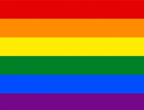 ¿Cuál es el origen de la bandera LGTB? Queer Pride Flag, Rainbow Flag Lgbt, Gay Pride Parade, Gender Flags, Gay Flag, Rainbow Flag Pride, Lgbtq Flags, Lgbt Flag, Pride Parade