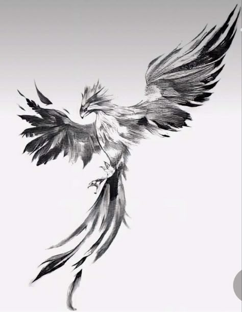 Phoenix Tattoo Men, Phoenix Tattoo Feminine, Small Phoenix Tattoos, Phoenix Bird Tattoos, Phoenix Tattoo Design, 얼굴 드로잉, Tattoo Style Drawings, Small Tattoos For Guys, Phoenix Tattoo