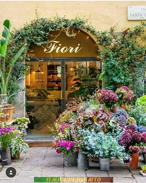 Florist Shop Interior, Flower Shop Display, Italian Flowers, Flower Shop Interiors, Flower Shop Decor, Flower Shop Design, Flower Shops, Flower Store, Florist Shop