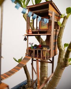 An incurable dreamer – that’s what the artist Jedediah Corwyn Voltz calls himself. He created this wondrous miniature treehouses out of little pieces of wood, wool, miniature artworks and smallest furniture. They gently nestle to potted plants and bonsai trees. If you move closer, they invite you to a short break in the parallel universe. With precisely worked windmills, ladders, window shutters and blinds, handrails, sun sails, swinging tires and all sorts of everyday objects Jedediah lets ... Plant Treehouse, Miniature Treehouse, Miniature Tree House, Sun Sails, Tree House Diy, Mini Gardens, Crassula Ovata, Miniature Trees, Parallel Universe