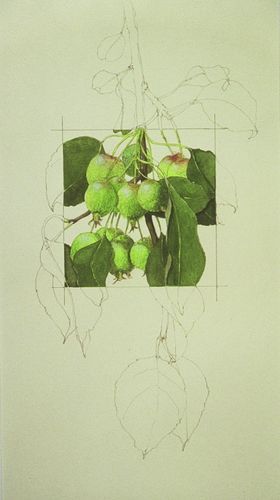 Apples Squared - S J Morris: Watercolor High School, Highschool Art Projects, Classroom 2023, Wc Ideas, School Drawing, Gcse Art Sketchbook, Observational Drawing, Ap Studio Art, Sketch Journal