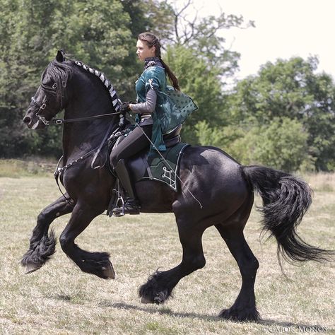 Medieval Horse, Horse Costumes, Wilde Westen, Black Horses, Friesian Horse, Majestic Horse, Horse Crazy, Draft Horses, Black Horse