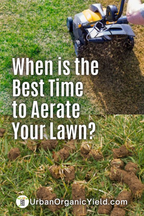 How To Aerate Your Lawn Diy, Aerator Diy Lawn, Diy Aerator Lawn, Aerate Lawn Diy, Lawn Aireator, Diy Lawn Aerator, Reseeding Lawn, Lawn Aerators, Mowing Business