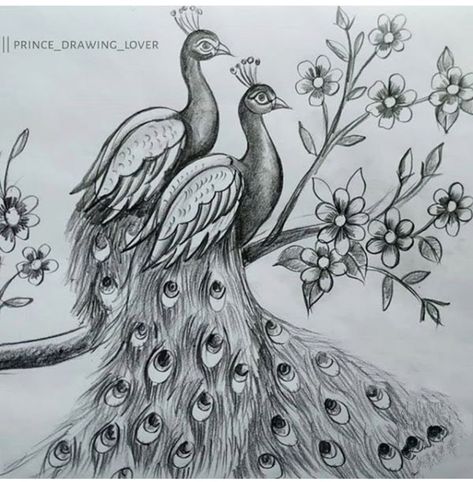 Peacock Drawing Images, Peacock Sketch, Peacock Drawing, Art Markers Drawing, Pencil Drawing Images, Elephant Drawing, Pen Art Drawings, Peacock Painting, African Art Paintings