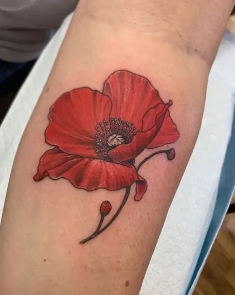 73 Astonishing Poppy Flower Tattoo Designs With Their Meanings Single Poppy Tattoo, Poppy Flower Tattoos, Succulent Tattoo Ideas, Red Poppy Tattoo, Poppy Tattoos, Tiny Designs, Succulent Tattoo, Poppy Flower Tattoo, Vietnam Tattoo