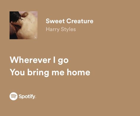 Taylor Swift Lyrics Brown Aesthetic, Harry Styles Lyrics Spotify, Song Lyrics For Him, Sweet Creature Lyrics, Harry Styles Hs1, Lyric Spotify, Songs For Her, Lyrics For Him, Put A Price On Emotion