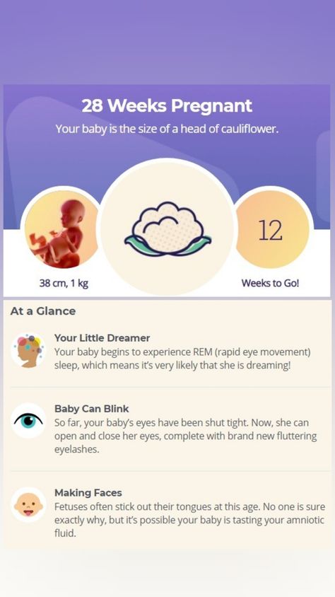 28 Week Pregnancy, Baby Countdown, Fetal Movement, 28 Weeks Pregnant, Pregnancy Week, Pregnant Baby, Baby Number 2, 3rd Trimester, Mommy Time