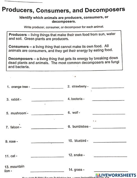 Consumer Producer Decomposer Activity, Producer Consumer Decomposer Activities, Producers Consumers Decomposers Activity, Decomposers Activity, Producers Consumers Decomposers, High School Classroom Ideas, Spanish Subject Pronouns, Graphing Quadratics, Producers And Consumers