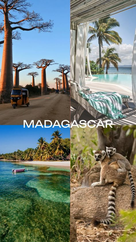 Places To Go On Holiday, Madagascar Aesthetic, Vacation Africa, Madagascar Travel, Places I Wanna Visit, Africa Countries, Best Countries To Visit, Dream Vacation Spots, Holiday Travel Destinations