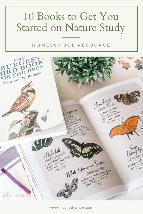 Ecosystems Activities, Homeschooling Science, Homeschool Nature, Nature Journals, Homeschool Nature Study, Morning Basket, Nature Studies, Charlotte Mason Homeschool, Nature Journaling