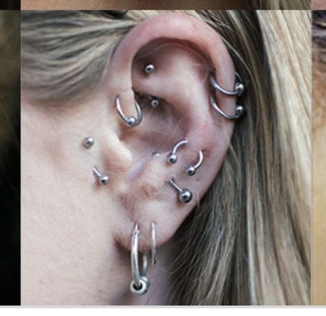 Fun Piercings, Dream Piercings, Earring Aesthetic, Piercing Aesthetic, Ear Stacking, Earring Stacks, Jewellery Board, Piercing Inspo, Cool Piercings