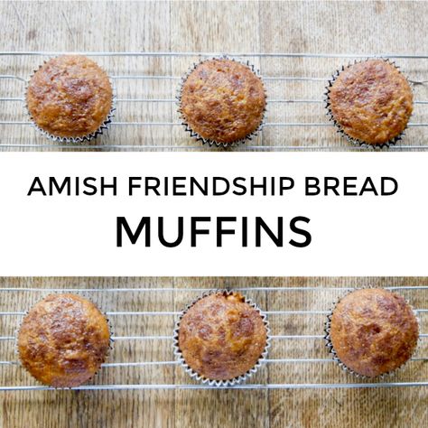 Friendship Muffins Starter, Amish Friendship Muffins, Amish Muffins, Friendship Muffins, Amish Friendship Recipes, Amish Friendship Bread Muffins, Amish Friendship Bread Discard Recipes, Friendship Bread Recipe Variations, Amish Friendship Bread Recipes