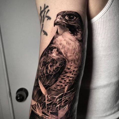 Realistic falcon arm tattoo Japanese Falcon, Falcon Tattoo, Rooster Tattoo, John Hart, Hipster Tattoo, Hawk Tattoo, Mountain Tattoo Design, Create A Tattoo, Tattoo Now