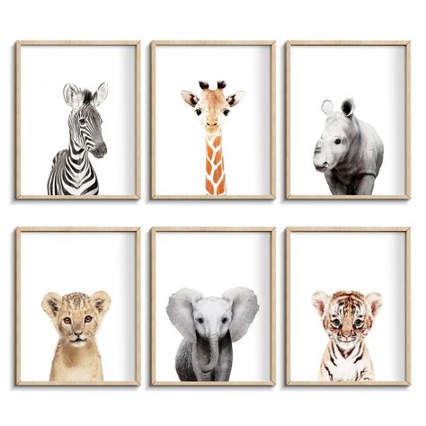 PRICES MAY VARY. ✨[INSPIRE THE IMAGINATION] - Teach little ones their second words,because the first sentence is Mom and Dad, help them learn and recognize animals 🎨[GET IT] - Set of 6 unframed jungle safari animal prints, Our minimalist animal prints are set against a bright white background and are playful yet sophisticated wall art addition to a child’s bedroom, nursery, or great for a safari themed birthday party ✔️[QUALITY GUARANTEED]: We always use high quality archival printer to ensure Baby Animals Nursery, Jungle Themed Nursery, Jungle Theme Nursery, Safari Decor, Nursery Safari, Baby Room Wall Art, Safari Theme Nursery, Nursery Decorations, Animal Nursery Theme